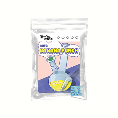 Auto Banana Punch Samen > Linda Seeds | Hanfsamen Empfehlungen  |  Günstige Hanfsamen